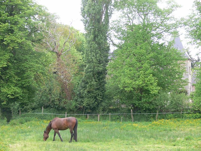 Mont Saint Michel 2010 - 349.jpg
